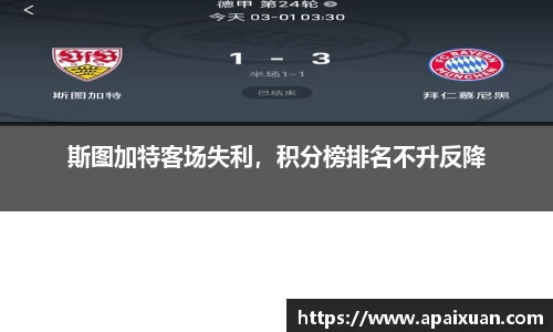 安信12娱乐
