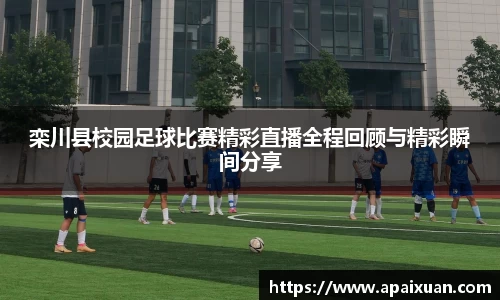 安信12娱乐