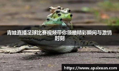 青娃直播足球比赛视频带你领略精彩瞬间与激情时刻