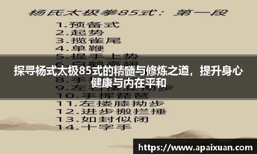 安信12