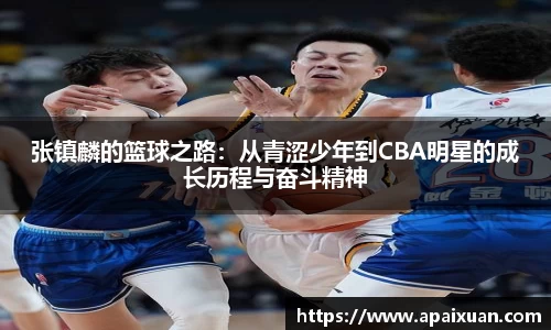 张镇麟的篮球之路：从青涩少年到CBA明星的成长历程与奋斗精神